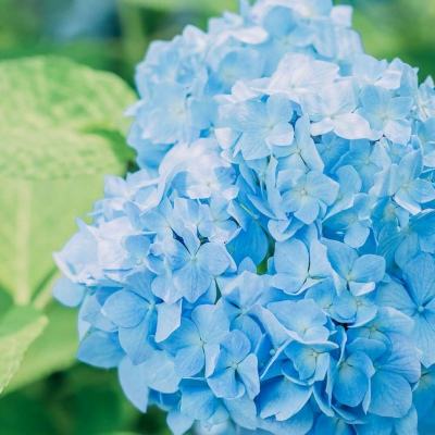 杏彩体育官网入口安装正版最新版v4.6.7.0截图3